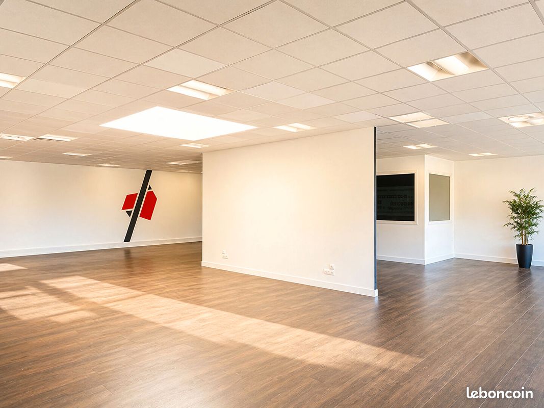 Local 1120 m² SAINT GEORGES DES COTEAUX (image 2)