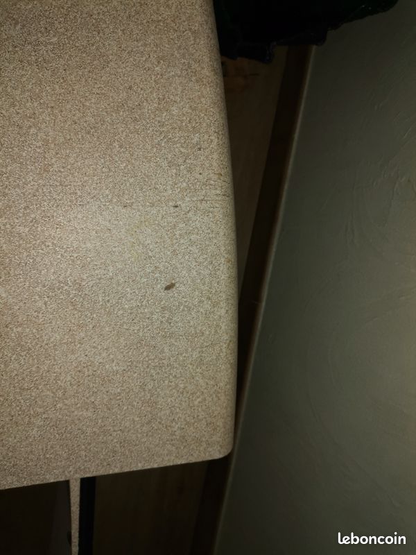 Table basse (image 1)
