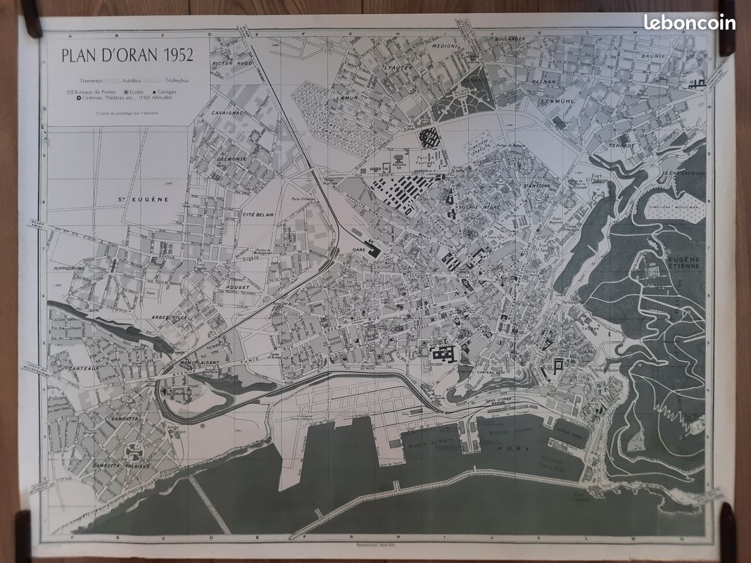 Plan Oran Algérie Française 1952 Collection