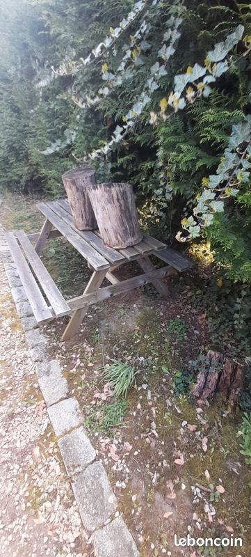 Table picnic bois (image 1)