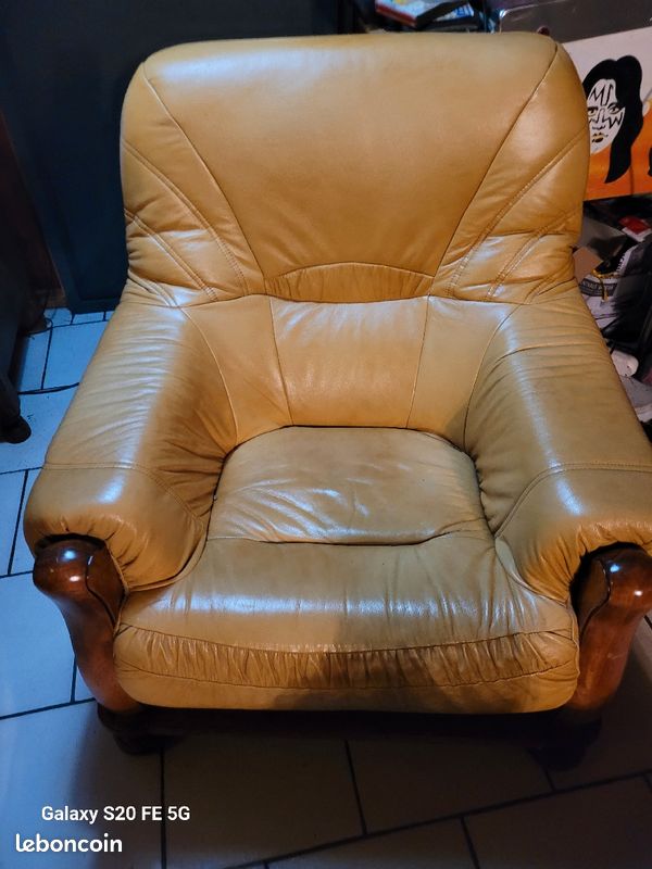 Fauteuil 1 place cuire (image 1)