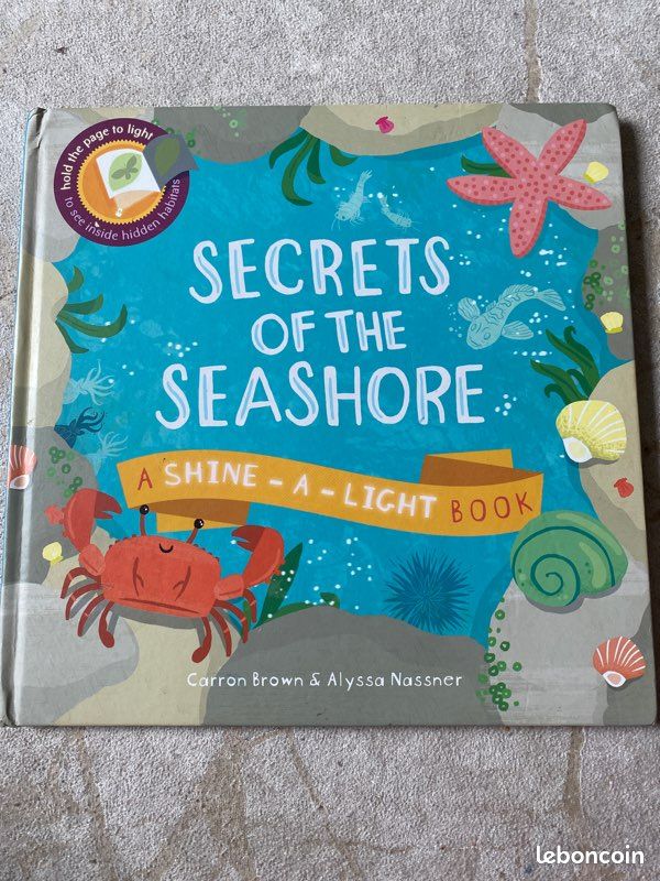 Les secrets au bord de la mer (image 1)