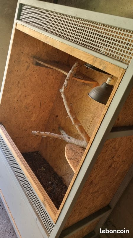 Très grand terrarium (image 3)