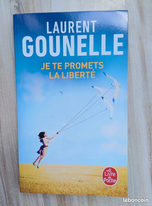 Laurent Gounelle - Je te promets la liberté (image 1)