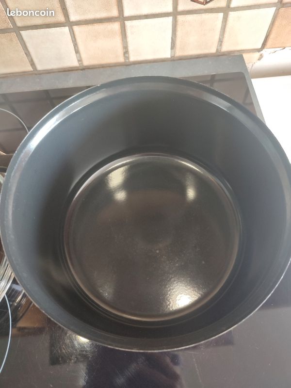 Friteuse a mettre sur feu (tout feux) (image 4)