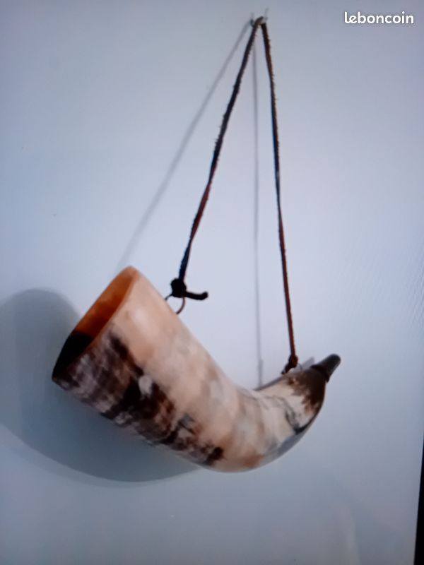 Corne de chasse (image 4)
