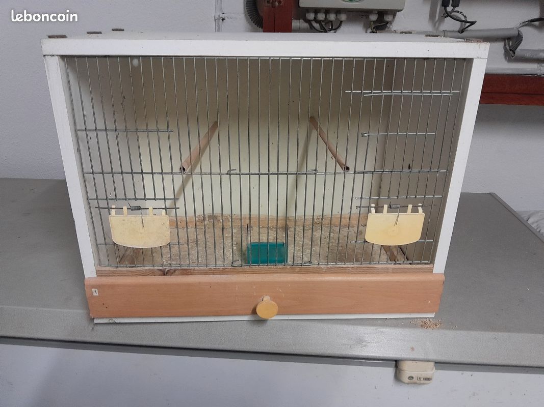 Cage oiseaux (image 1)