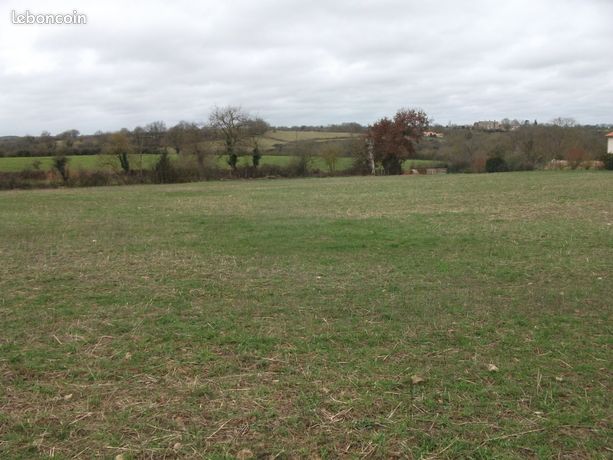 Terrain 5000m2 viabilisé