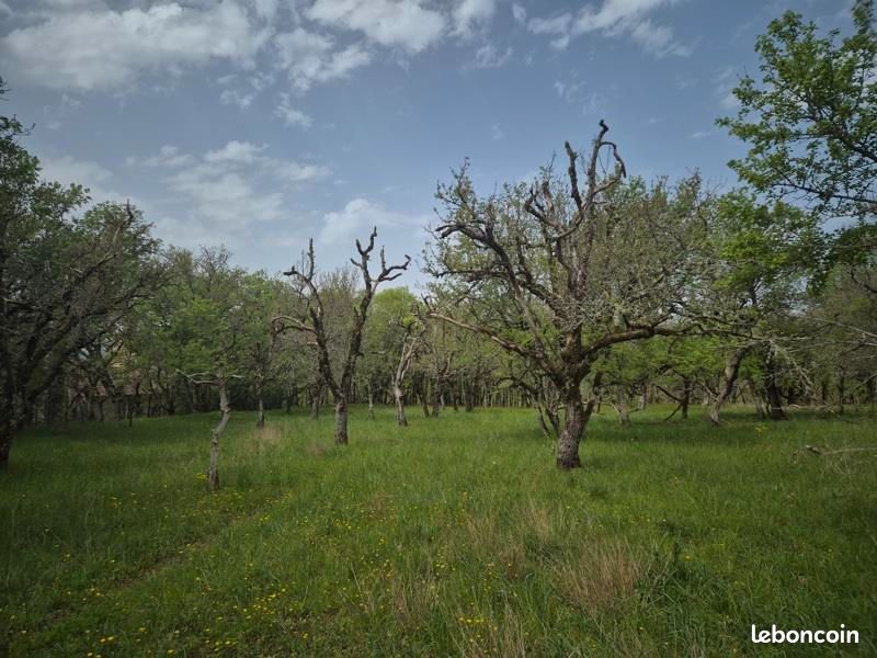 Terrain 7 010 m² Pechs De L Esperance · à Pechs-de-l'Espérance · 50 000 €