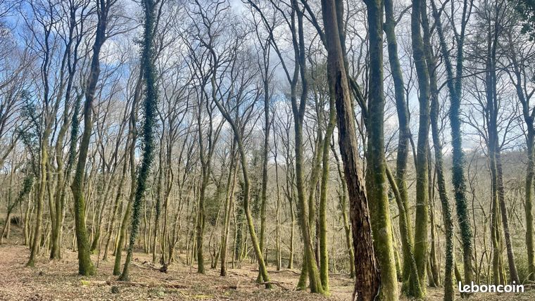 Terrain 71533 m² Tosse