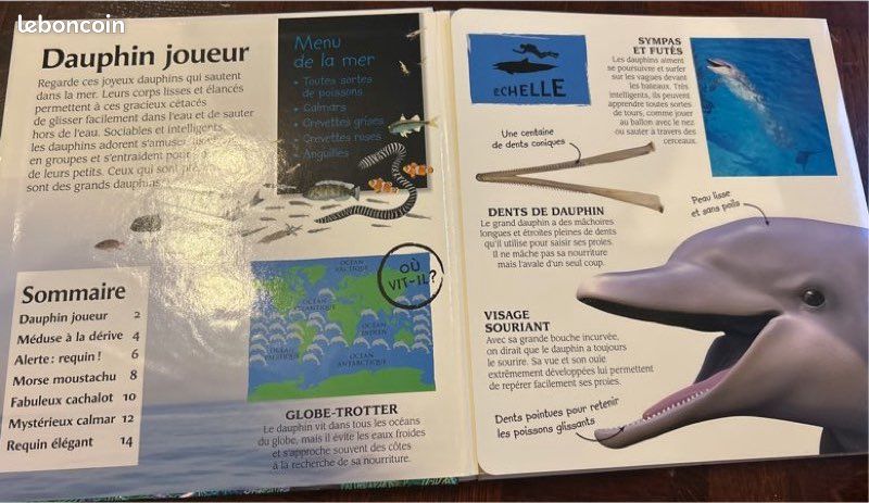 Le livre géant des animaux de la mer (image 3)