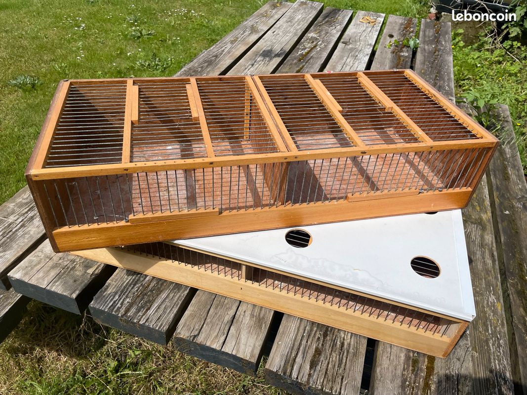 Cages transport oiseaux (image 2)