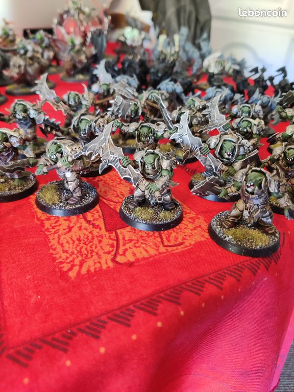 Warhammer AOS Armée Orc Ironjaws et Orc des marées (image 7)