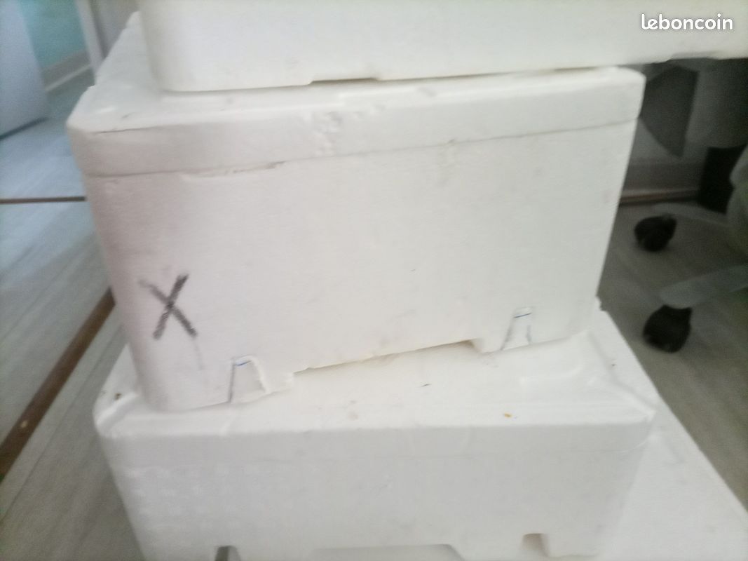 Boîtes polystyrène (image 2)