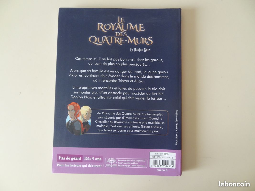 Le royaume des quatre murs (image 2)