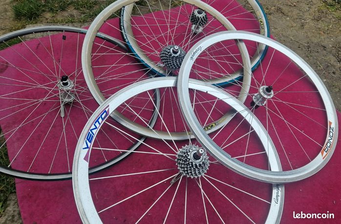 Rayons arrière droit Campagnolo zonda (x4) | Vélo-Store