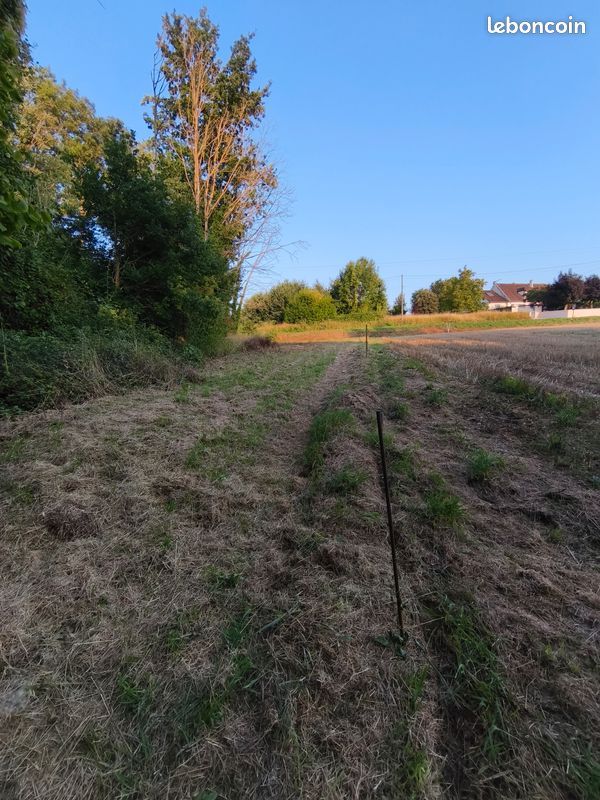 Terrain 2 072 m² nature/verger – bois, animaux, placement – Guérard · 28 000 €