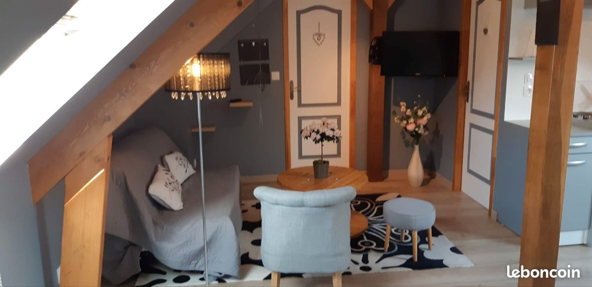 Appartement 1 pièce 35 m² · à La Chapelle-Saint-Fray · 35 m² · 480 €