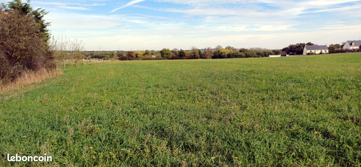 GRAND TERRAIN DE 8000 m² aux portes d'Ancenis (35 min de Nantes) · à Mésanger · 17 000 €
