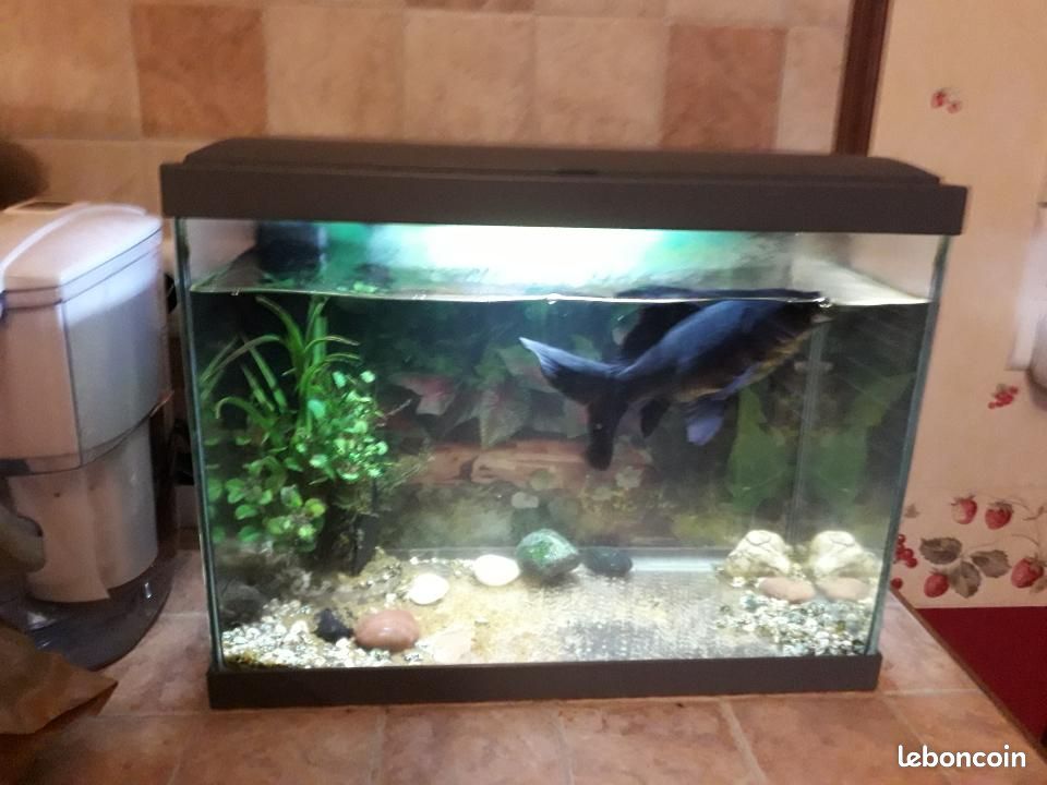Aquarium 30L (image 1)