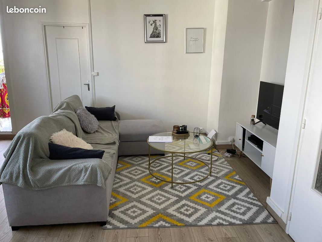 Appartement T3 lumineux - Poitiers 86000 (image principale 0)