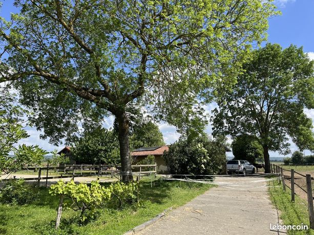 Ferme 7 pièces 228 m²