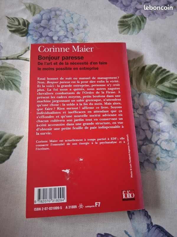 Bonjour paresse (image 3)