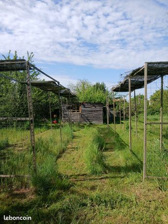 Terrain verger potager