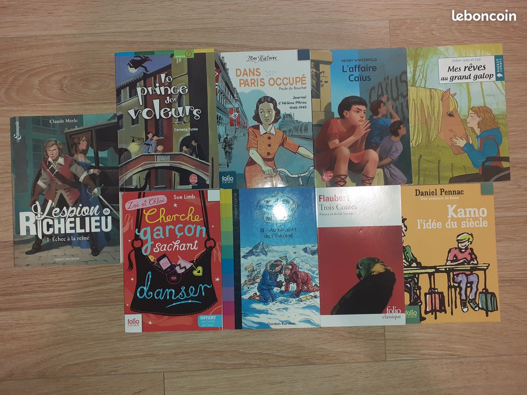 Livres en bon état (Flaubert, ...) (image 1)