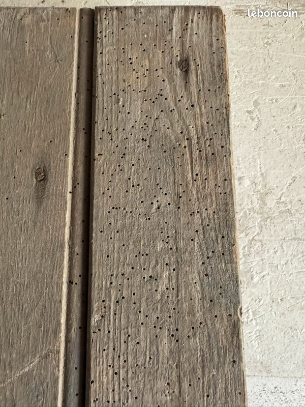 Porte bois (image 4)