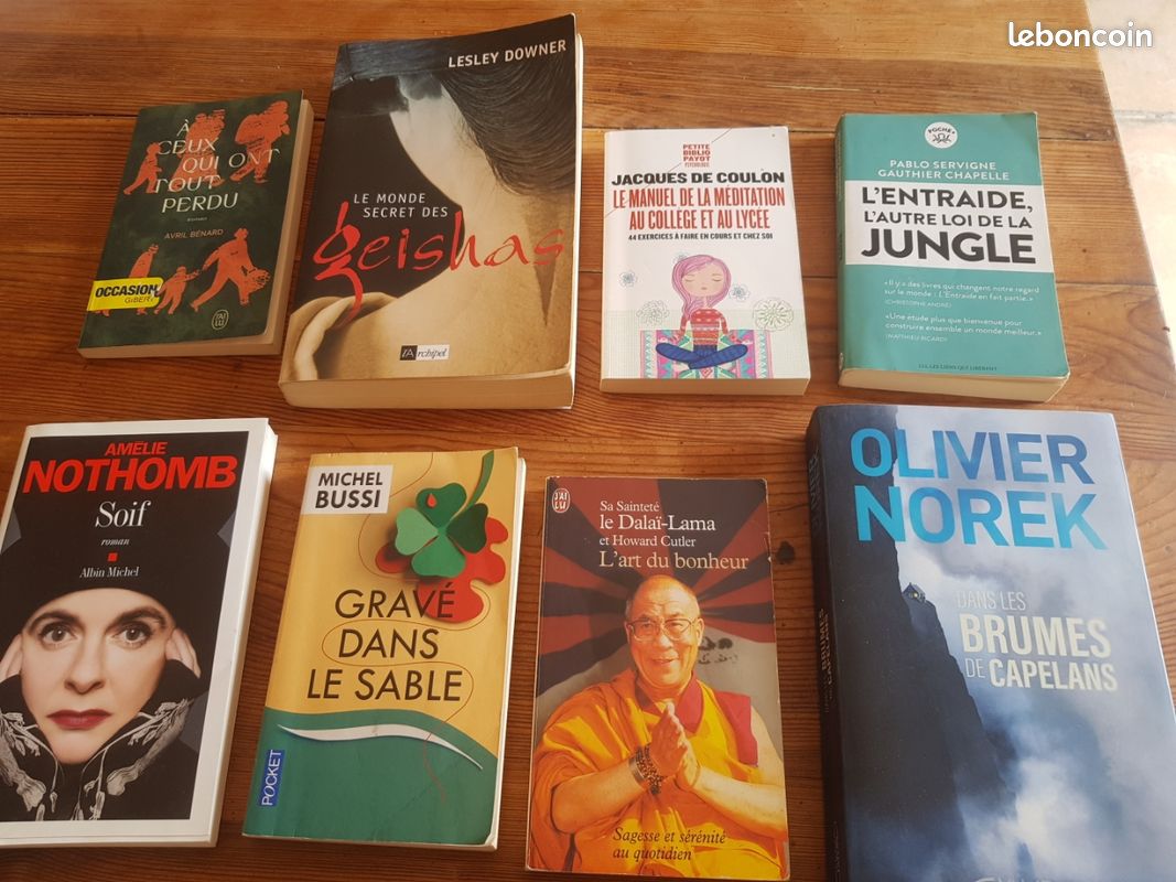 Livre roman,essai,philo,développement personnel (image 1)
