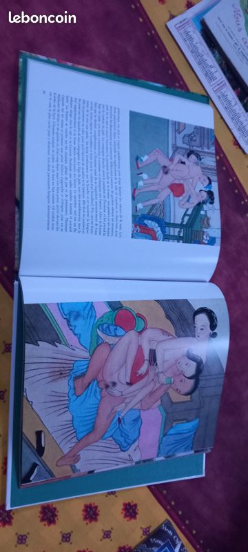 L art d aimer des anciens chinois (image 3)