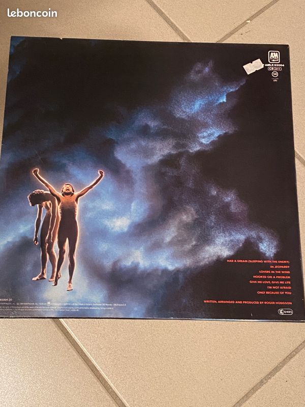 Vinyle 33T ROGER HODGSON In The Eye Of The Storm (image 2)