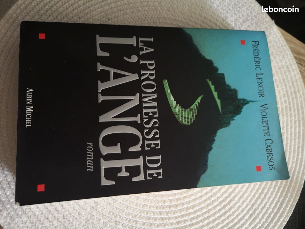 Livre "la promesse de l'ange" (image 1)