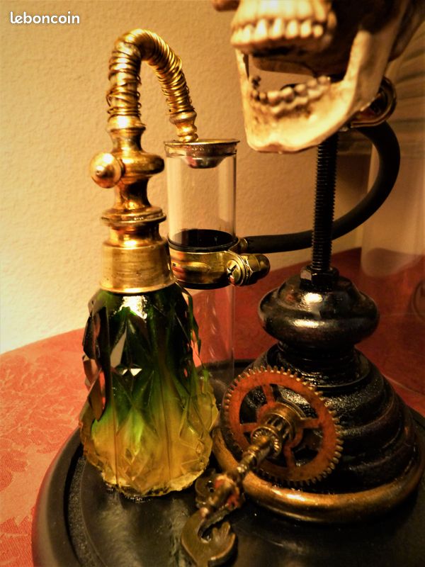 Globe de Curiosité Verre "SKULL OF VANITY XIX" Créa. Steampunk (image 4)
