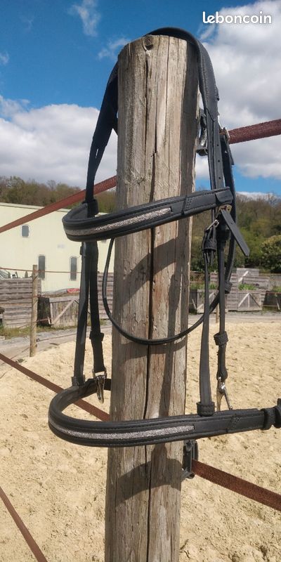 Filet (bridon) taille cheval noir attaches mousquetons (image 3)