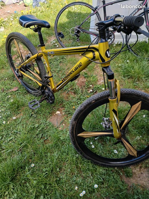 Vélo tout terrain (image 2)
