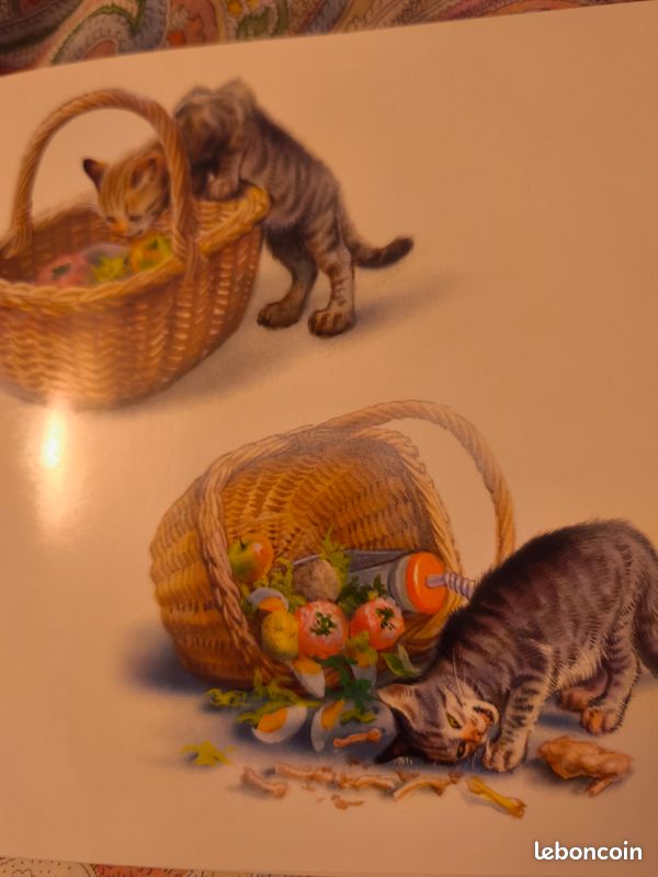 Martine et les bébés chats mes premières histoires Casterman (image 7)