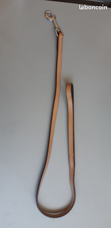 Laisse Chien (image 1)