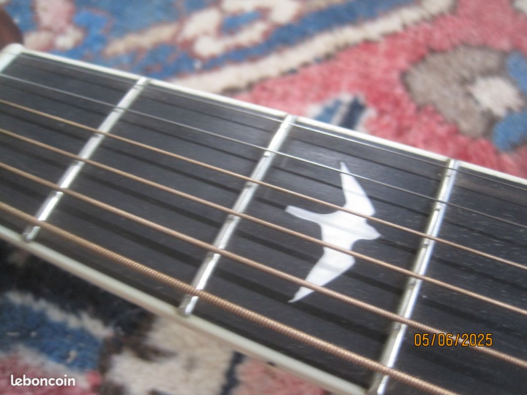 Prs p20 (image 10)