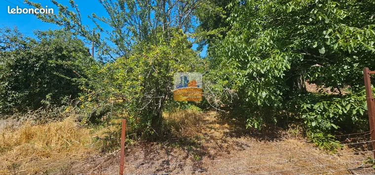 Annonce vente Terrain saint-jean-de-boiseau