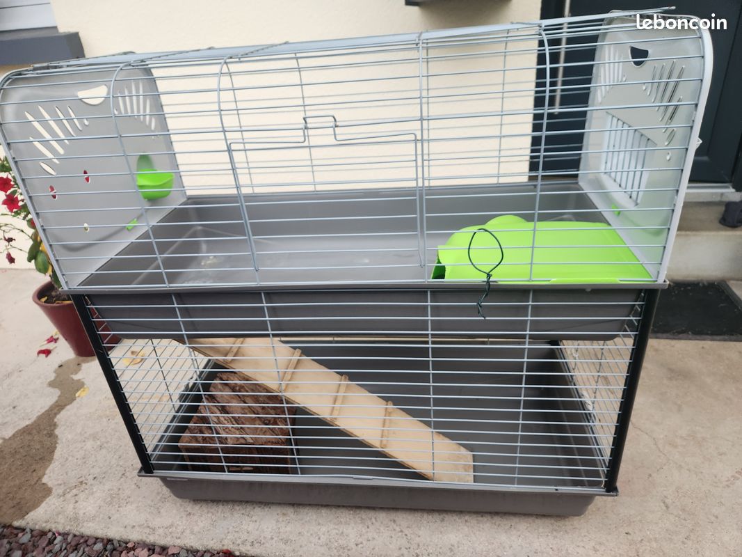 Cage cochons d'inde (image 1)