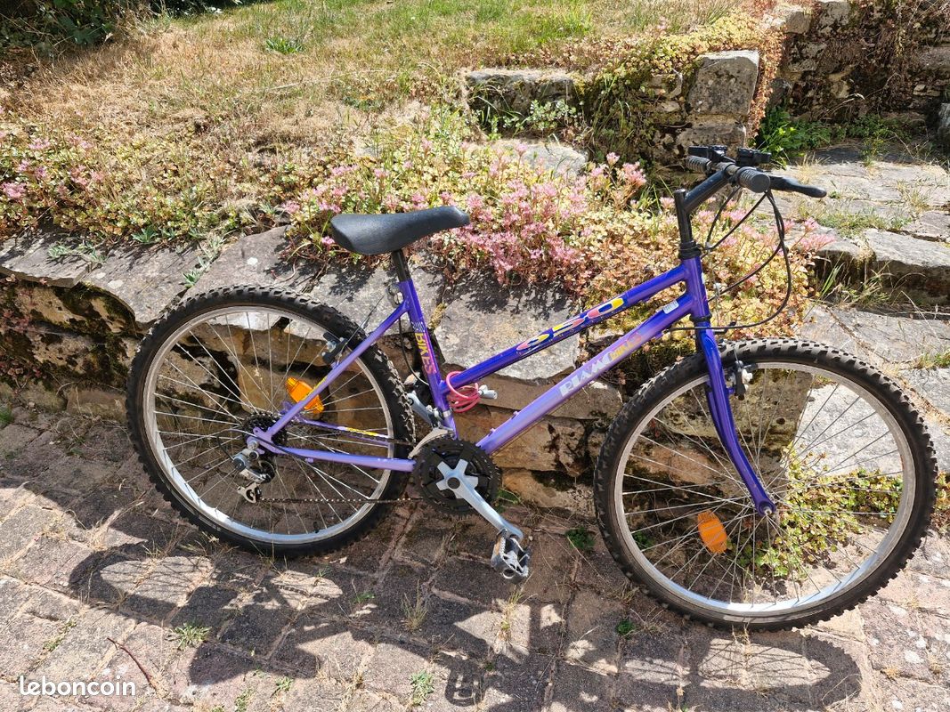 Vector De Dessins Animés De Vélo De Montagne | Vecteur Premium