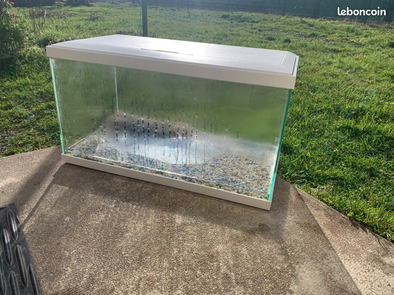 Aquarium (image 1)