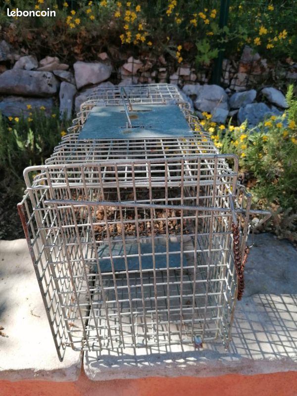 Cage de piégeage 65 cm (Capture vivante) (image 2)