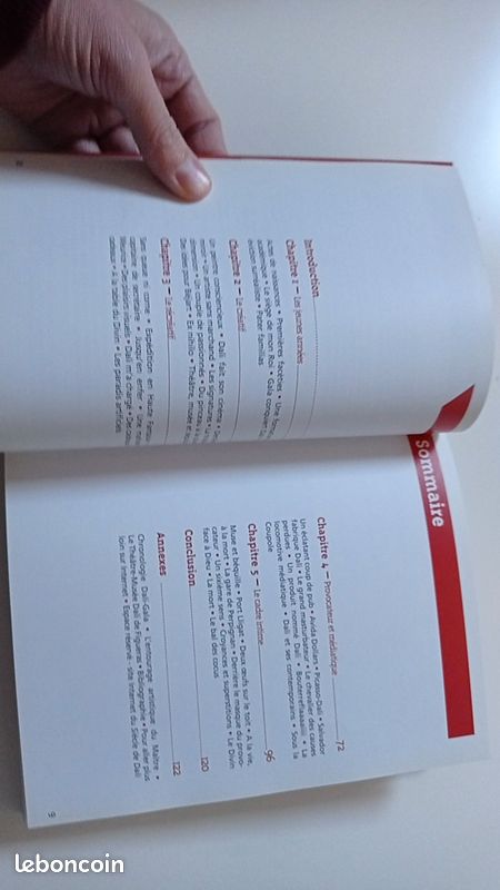 Livre le siècle de Dali (image 5)