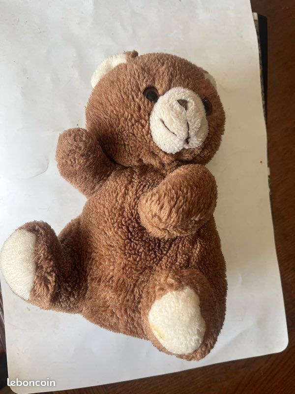 Petit ours brun (image 3)