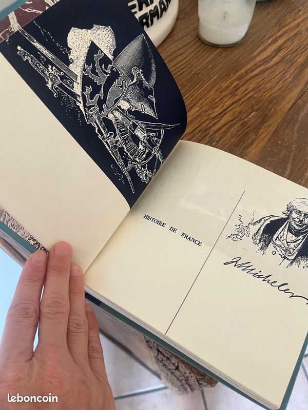 Histoire de France Jules Michelet en 18 volumes (image 2)