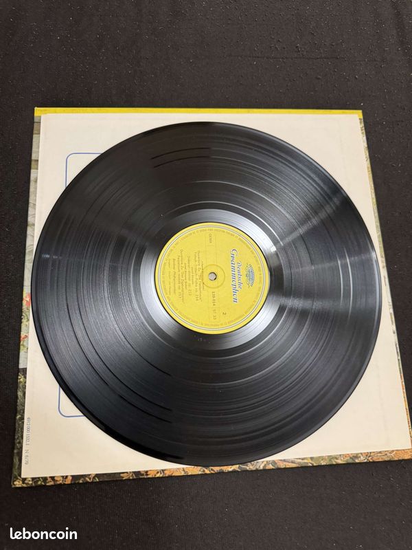 Vinyls À Vienne au Temps des Strauss (image 3)