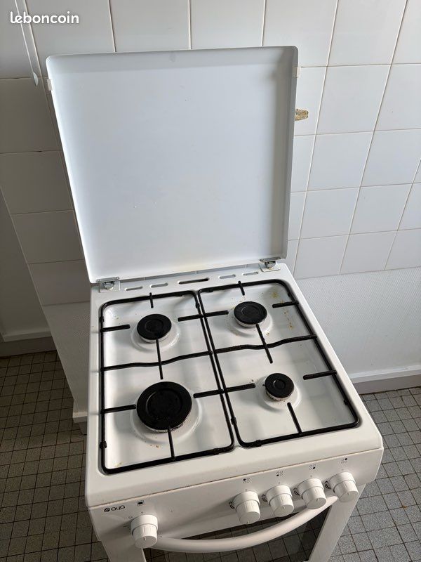 Gaziniere (image 4)
